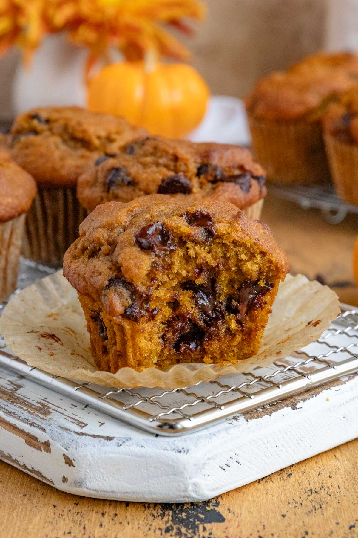 Make-Ahead Pumpkin Chocolate Chip Muffins: Freeze for Later